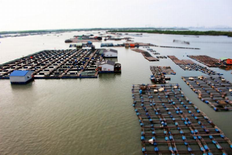 Khảo sát địa chất trước khi xây dựng ao nuôi trồng thủy sản nước lợ